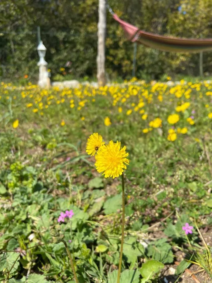 Holiday Home Ruby Sveti Jakov